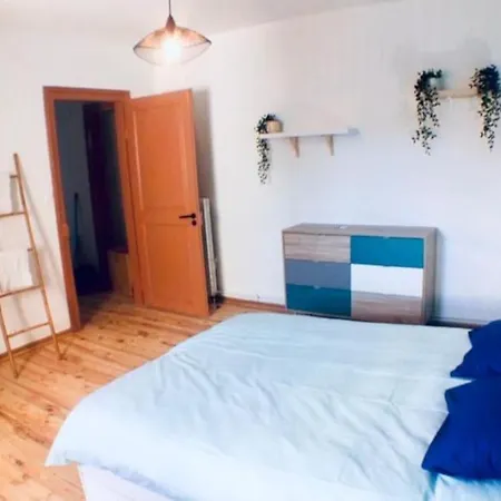 Sous Les Toits-hypercentre-pas De Frais De Menage *