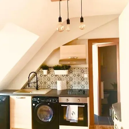 Sous Les Toits-hypercentre-pas De Frais De Menage * Mulhouse