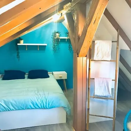 Apartamento Sous Les Toits-hypercentre-pas De Frais De Menage Mulhouse