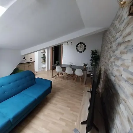 Sous Les Toits-hypercentre-pas De Frais De Menage * Mulhouse