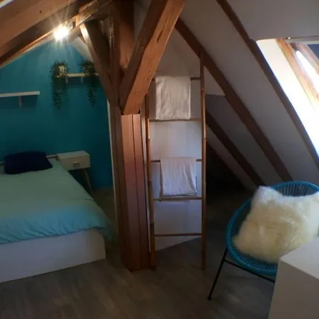 Sous Les Toits-hypercentre-pas De Frais De Menage