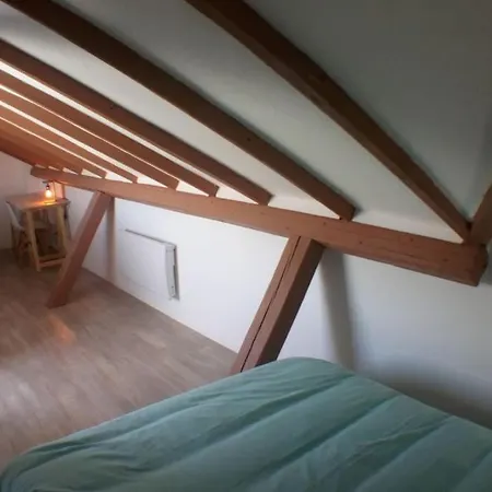 Apartamento Sous Les Toits-hypercentre-pas De Frais De Menage Mulhouse