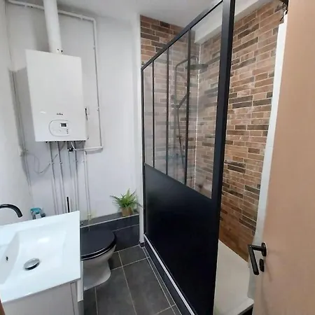 Sous Les Toits-hypercentre-pas De Frais De Menage 아파트
