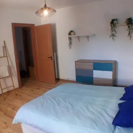 Sous Les Toits-hypercentre-pas De Frais De Menage * Mulhouse