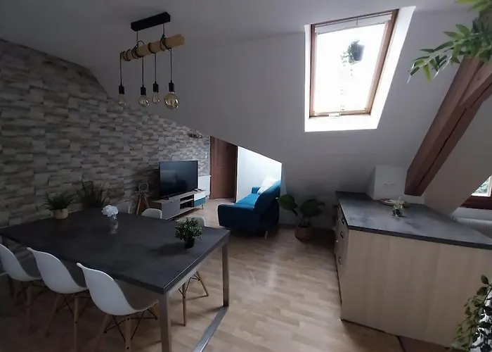 Sous Les Toits-hypercentre-pas De Frais De Menage 아파트