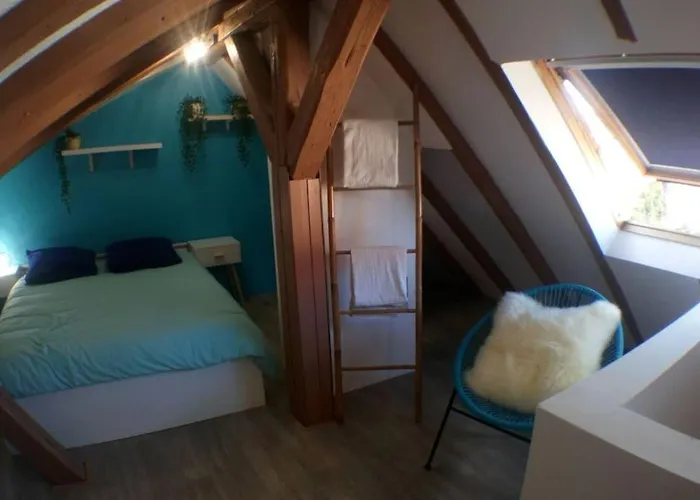 Sous Les Toits-hypercentre-pas De Frais De Menage