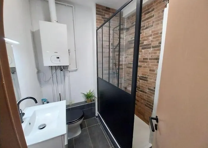 Sous Les Toits-hypercentre-pas De Frais De Menage 아파트